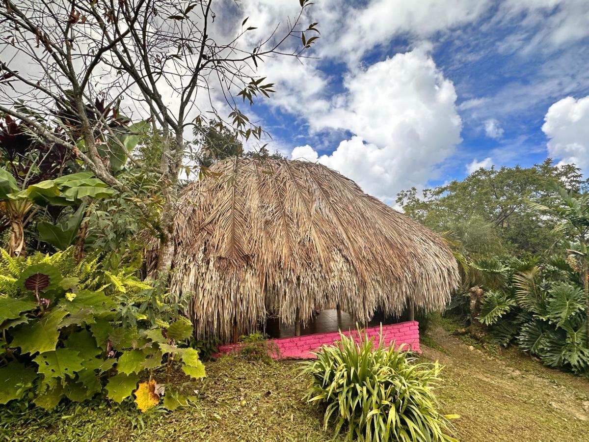 ミンカ Sierra Alta Finca Boutiqueヴィラ エクステリア 写真