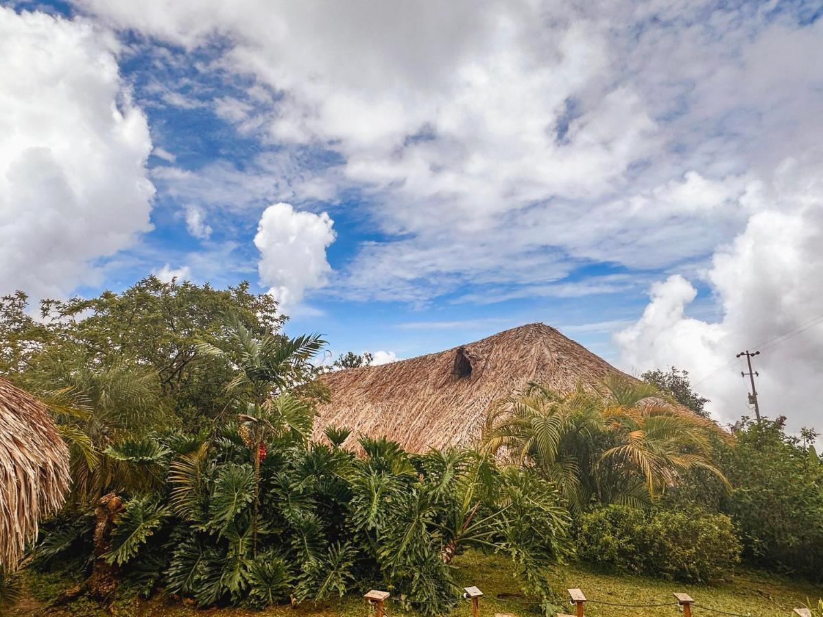 ミンカ Sierra Alta Finca Boutiqueヴィラ エクステリア 写真