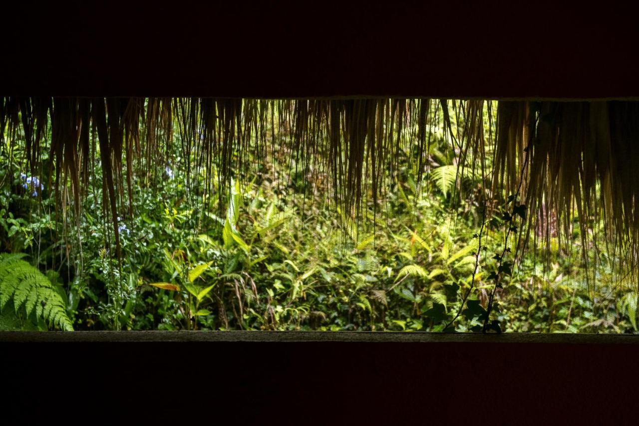 ミンカ Sierra Alta Finca Boutiqueヴィラ エクステリア 写真